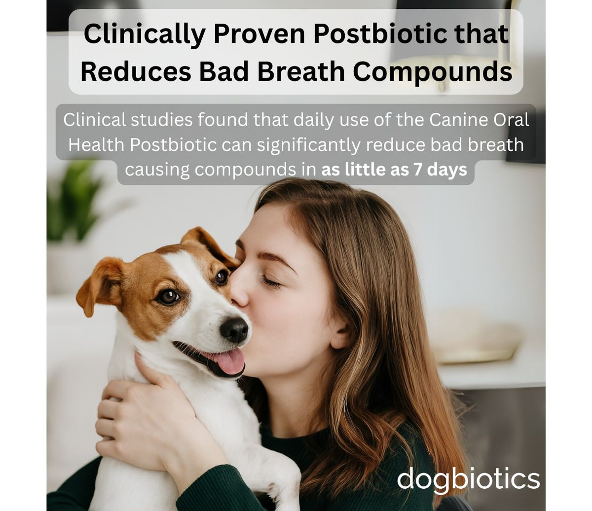 DE-01 Dental Dogbiotic - BP3