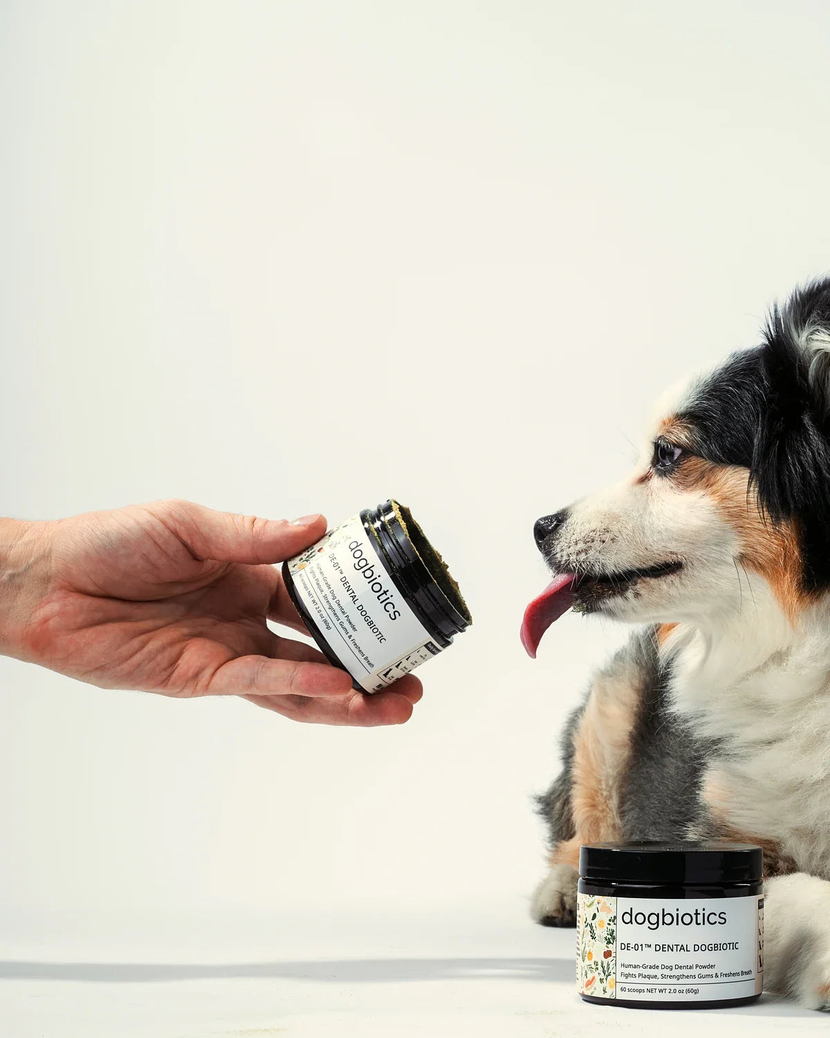 A hand tilts an open jar of DE-01 Dental Dogbiotic toward an Australian shepherd, who is reaching for it with its tongue out. A second sealed jar sits on the table in front.